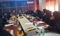  برگزاری سی و پنجمین کمیته بهداشت ذیل قرارگاه جوانی جمعیت