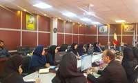 نشست شورای مدیران ستادی معاونت بهداشت برگزار شد 